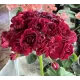 Пеларгонія Monseruds Rosen